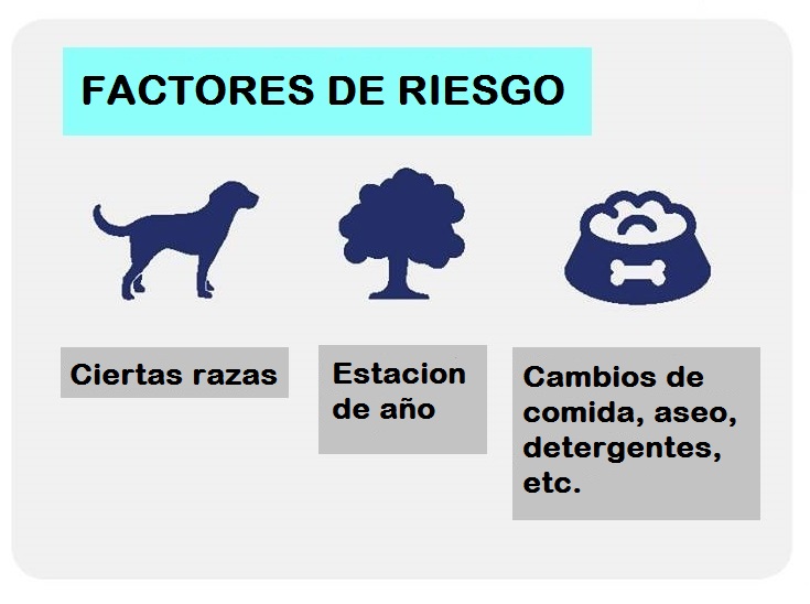 Factores de riesgo