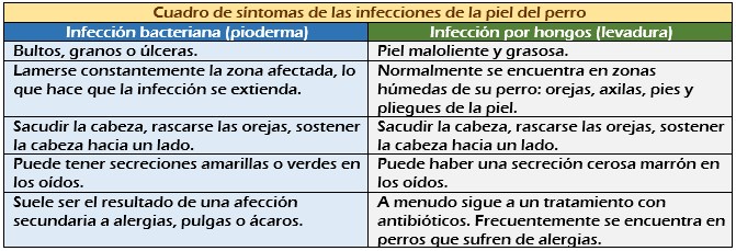 Cuadro de infecciones de la piel del perro